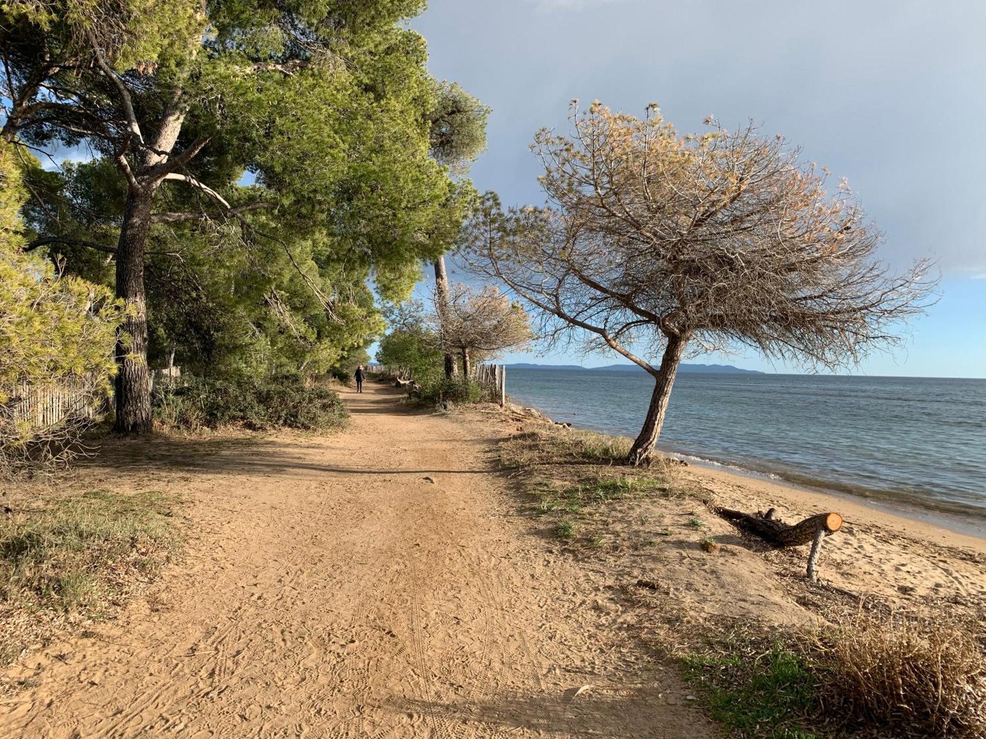 Joli Studio Tres Clair A Proximite Mer Pour 3 Personnes La Londe-les-Maures Exterior foto